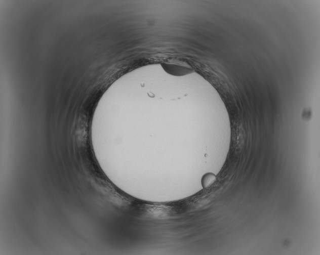 X0000096640226200803041134