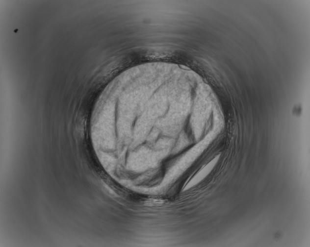 X0000096640227200803041134