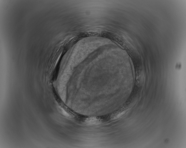 X0000096640231200803041133