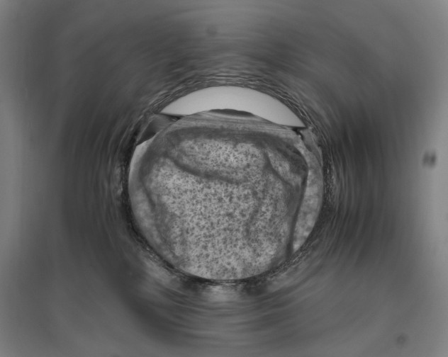 X0000096640232200803041133