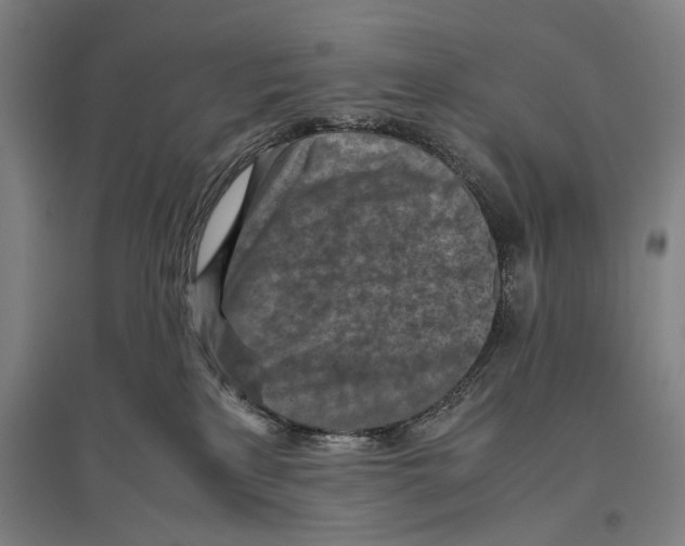 X0000096640233200803041133