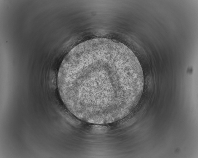 X0000096640234200803041133