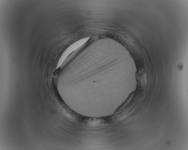 X0000096640235200803041133