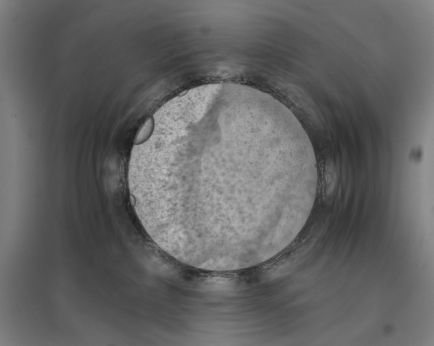 X0000096640236200803041133