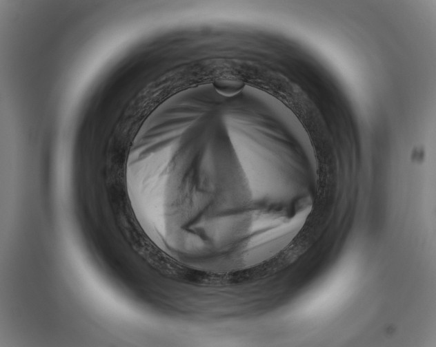 X0000096640239200803041133