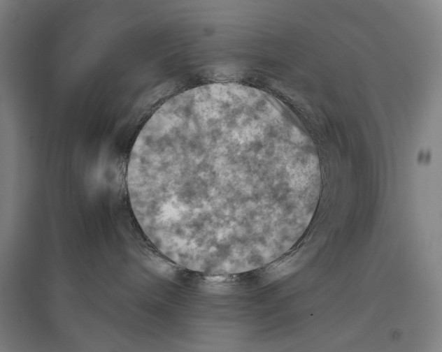 X0000096640240200803041133