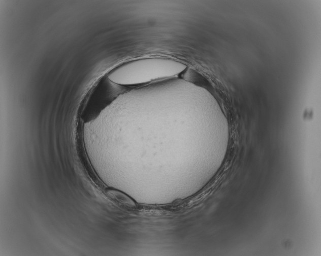 X0000096640242200803041133