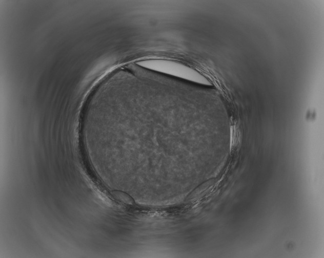 X0000096640243200803041133