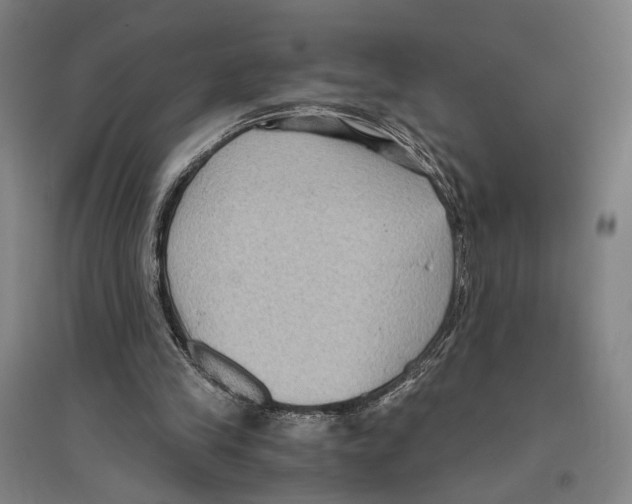 X0000096640245200803041133