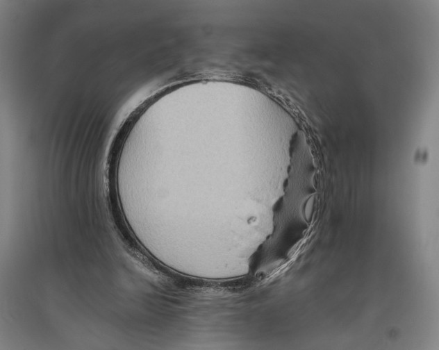 X0000096640246200803041133