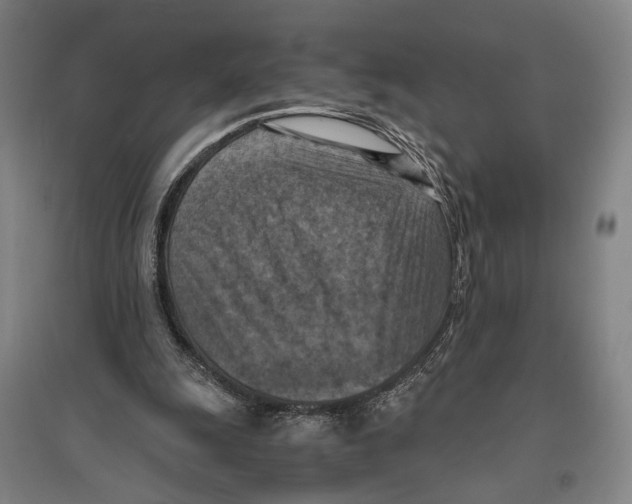 X0000096640247200803041133