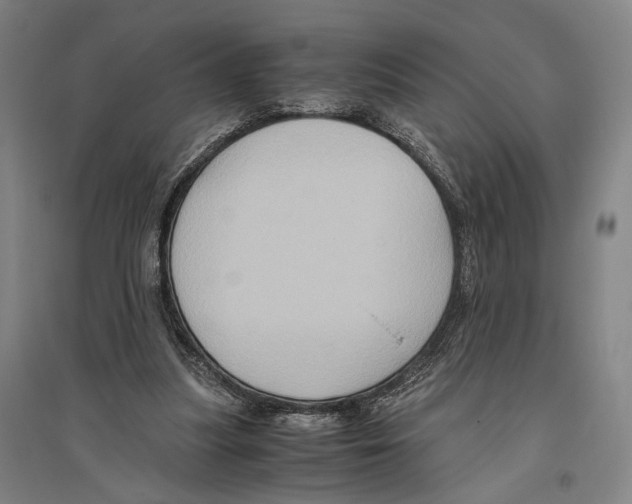 X0000096640251200803041133