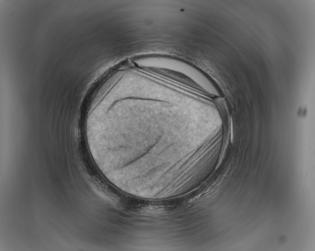 X0000096640252200803041133