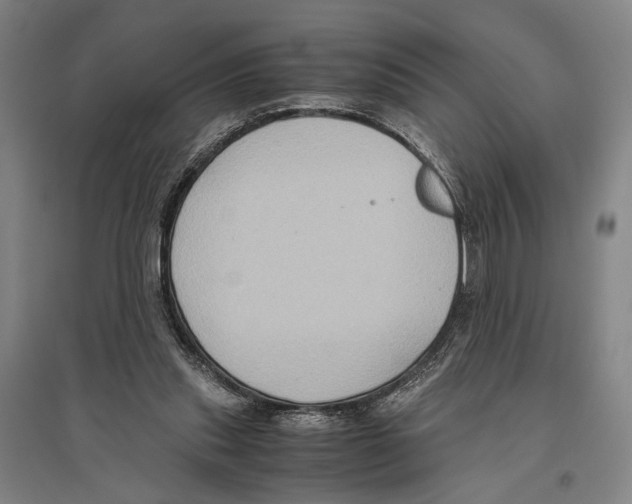 X0000096640253200803041133