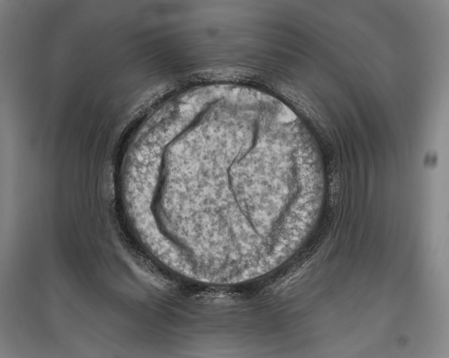 X0000096640254200803041133