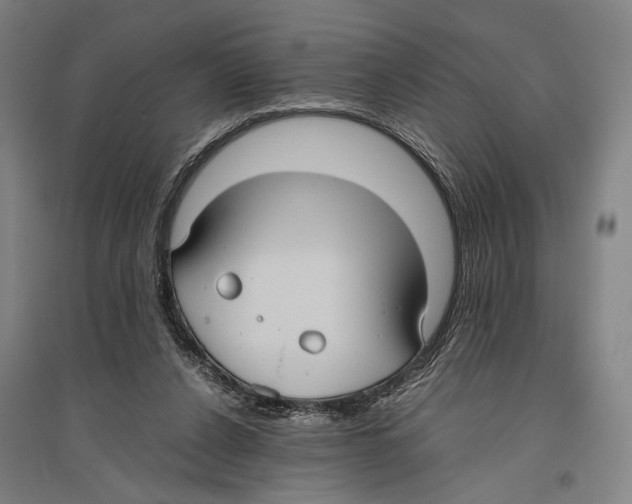 X0000096640256200803041133