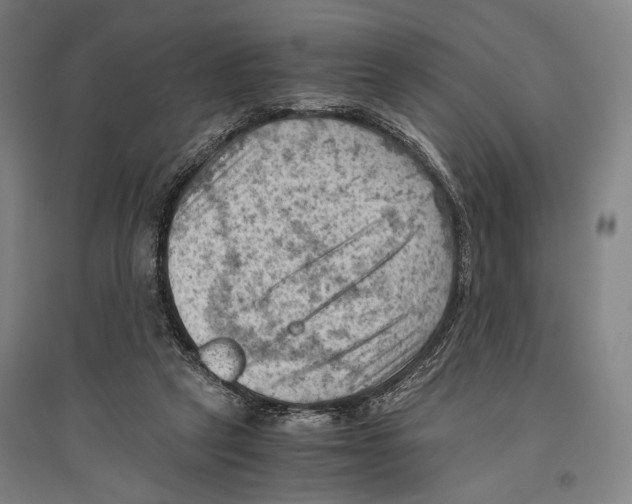 X0000096640257200803041133