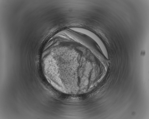 X0000096640260200803041133