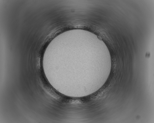 X0000096640262200803041133