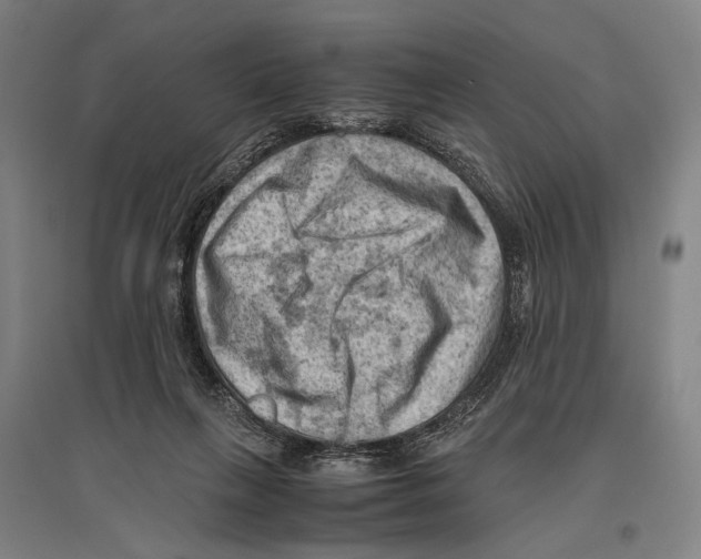 X0000096640263200803041133