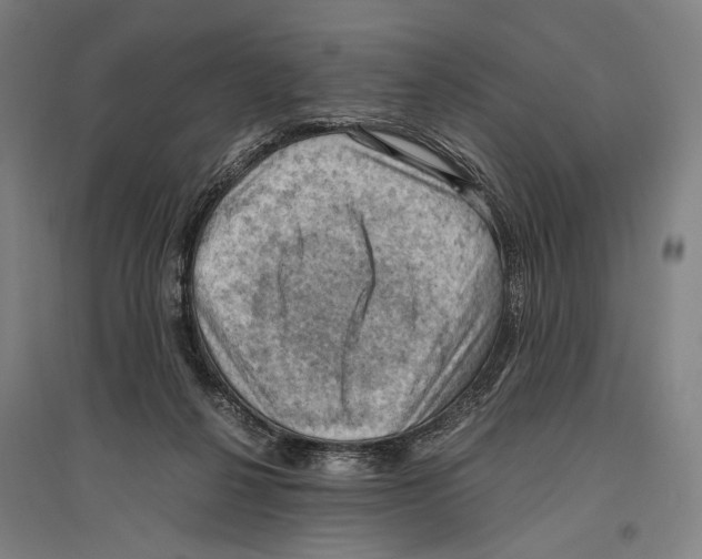 X0000096640264200803041133