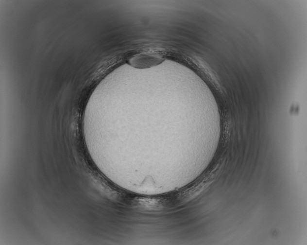 X0000096640265200803041133