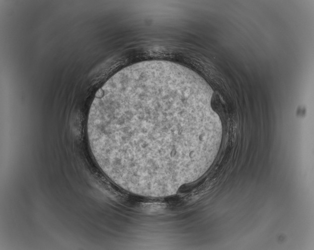 X0000096640266200803041133