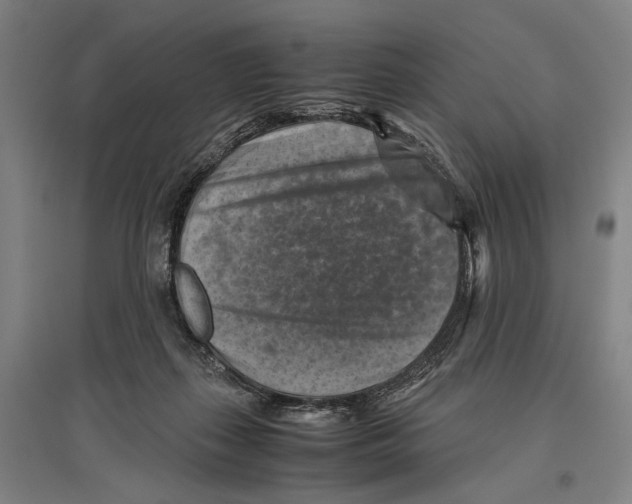 X0000096640267200803041133