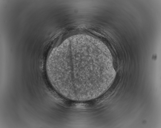 X0000096640268200803041133