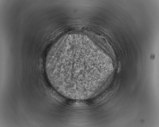 X0000096640270200803041133