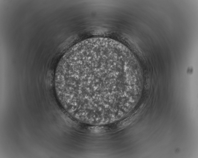 X0000096640273200803041133