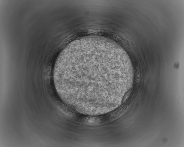 X0000096640275200803041133