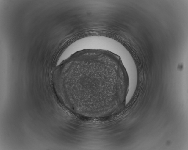 X0000096640276200803041133