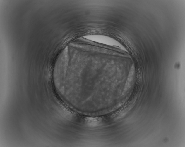 X0000096640277200803041133