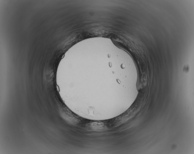 X0000096640279200803041133