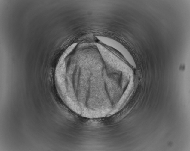 X0000096640280200803041133