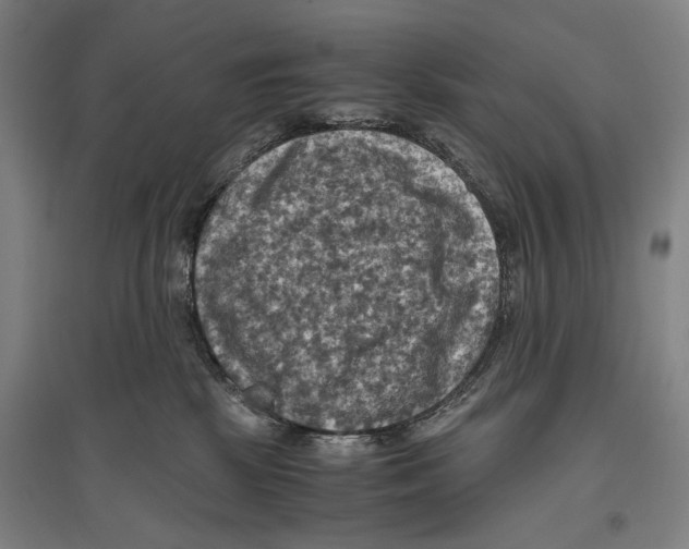 X0000096640281200803041133