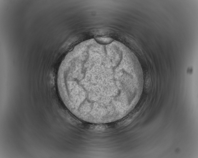 X0000096640282200803041133