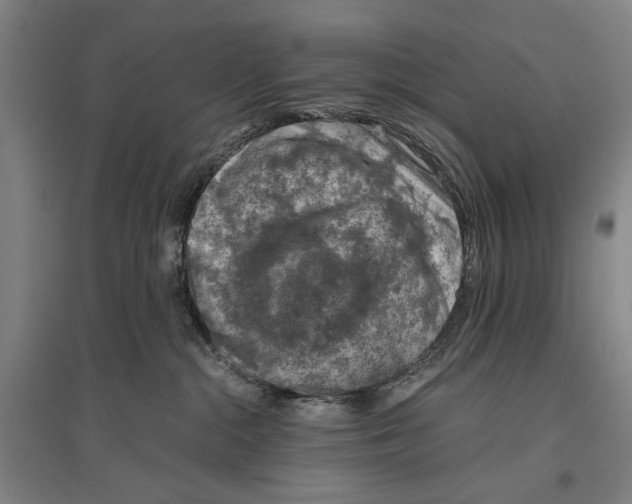 X0000096640284200803041133