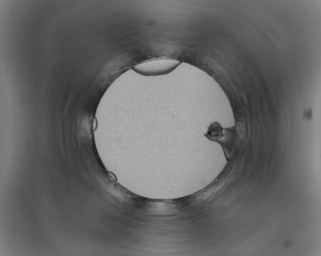 X0000096640286200803041133