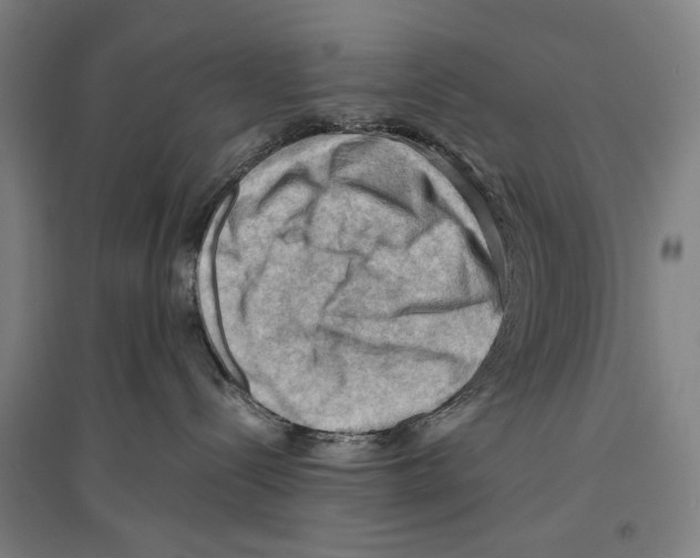 X0000096640288200803041133