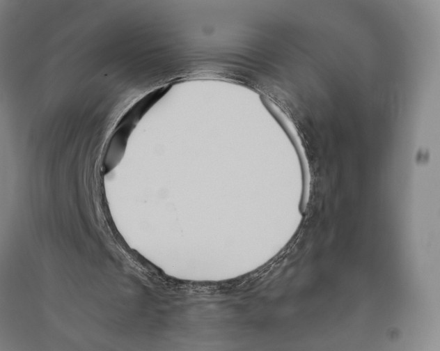 X0000096640289200803041133