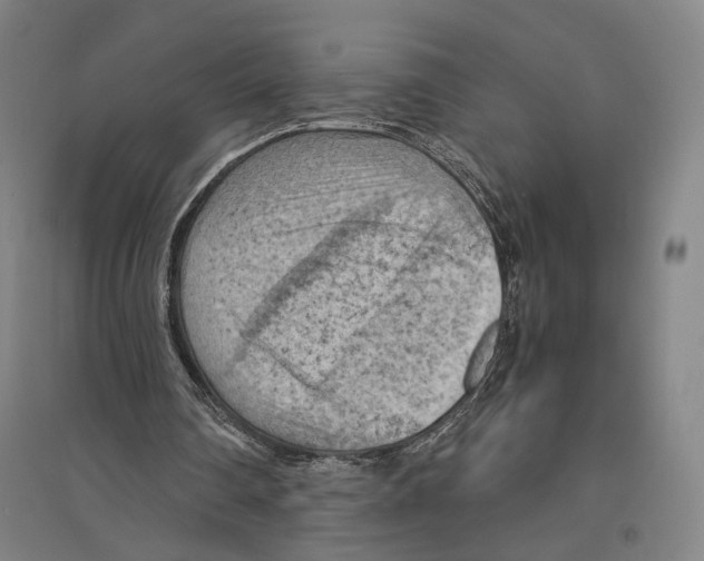 X0000096640290200803041133