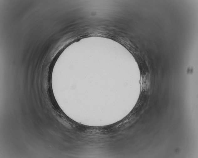 X0000096640291200803041133