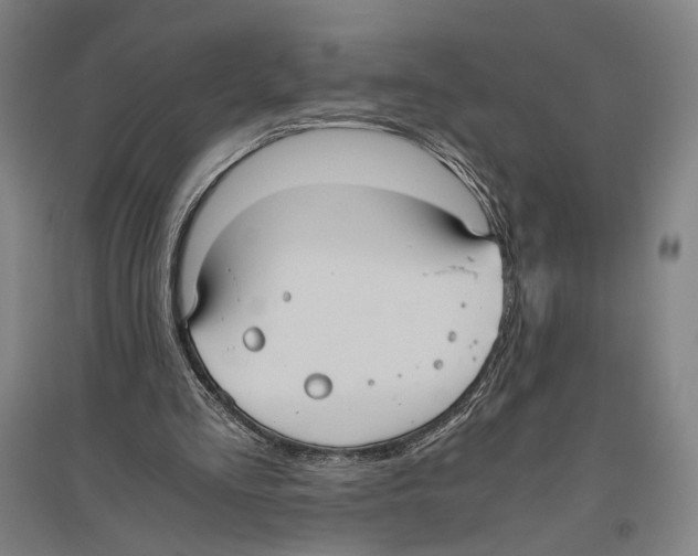 X0000096640293200803041133