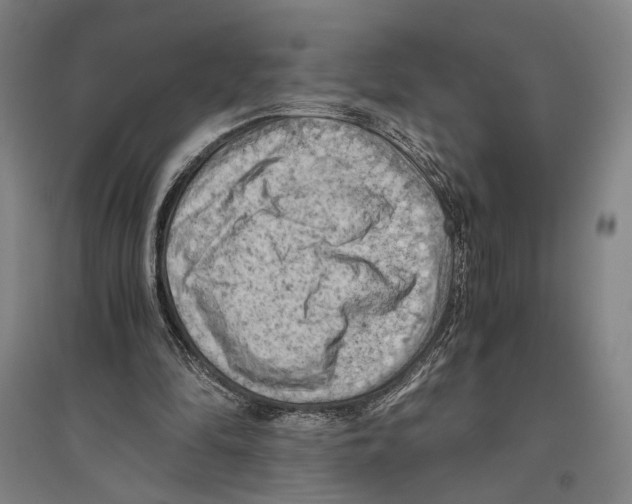 X0000096640294200803041133