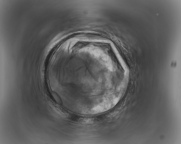 X0000096640295200803041133