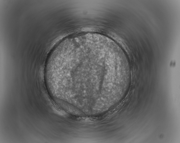 X0000096640297200803041133