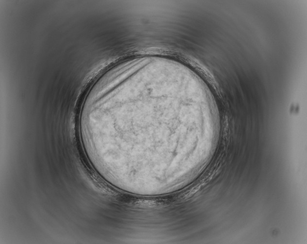 X0000096640298200803041133