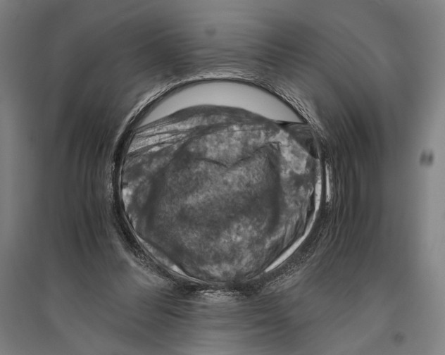 X0000096640300200803041133